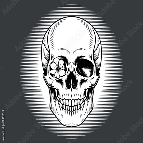 skull, death, skeleton, bone, human, halloween, head, vector, dead, illustration, anatomy, tattoo, horror, symbol, scary, evil, pirate, art, black, danger, teeth, gothic, icon, jaw, face