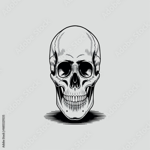 skull, death, skeleton, bone, human, halloween, head, vector, dead, illustration, anatomy, tattoo, horror, symbol, scary, evil, pirate, art, black, danger, teeth, gothic, icon, jaw, face