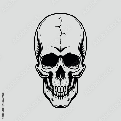 skull, death, skeleton, bone, human, halloween, head, vector, dead, illustration, anatomy, tattoo, horror, symbol, scary, evil, pirate, art, black, danger, teeth, gothic, icon, jaw, face