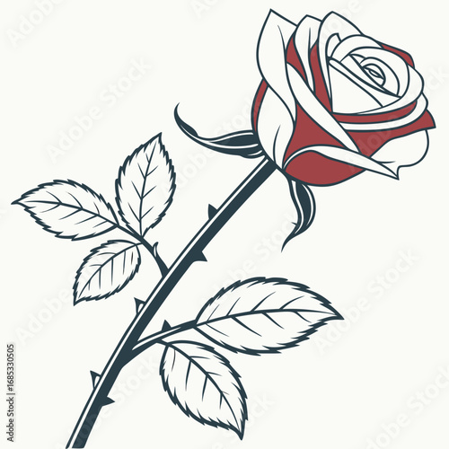 Single red rose with leafs with white background