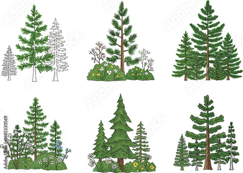 Cartoon pine trees with forest plants, hand drawn evergreen landscape vector, botanical nature illustration, woodland tree collection, outdoor greenery set
