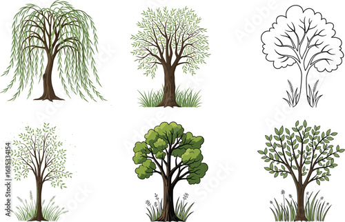 Illustrated tree collection, various tree types, green leafy trees, willow tree, nature sketches, botanical art, tree silhouettes, seasonal trees, garden plants