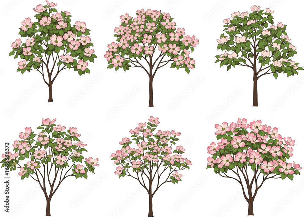 Naklejka premium Stylized flowering trees with pink blossoms and green leaves, spring floral trees, hand-drawn garden trees, botanical illustration set, nature clipart