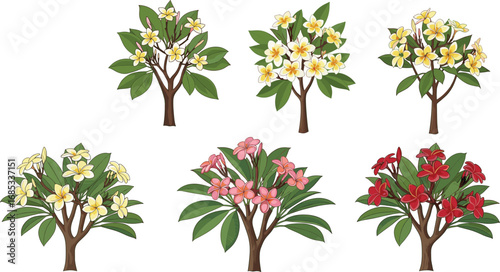 Tropical plumeria flower trees vector set, frangipani blossom illustration, colorful floral tree collection, exotic garden design, nature artwork elements