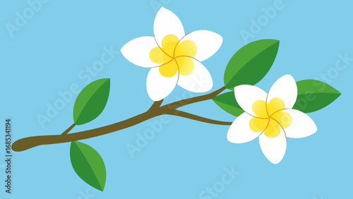 Admire Frangipani Blossoms on a Branch a Delicate Display of Tropical Floral Beauty and Scent