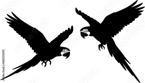 Macaw silhouette, Macaw svg, Macaw parrot silhouette, Parrot svg, Parrot silhouette, Flying macaw silhouette, Flying macaw 