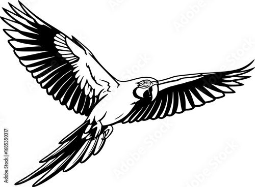 Macaw silhouette, Macaw svg, Macaw parrot silhouette, Parrot svg, Parrot silhouette, Flying macaw silhouette, Flying macaw 