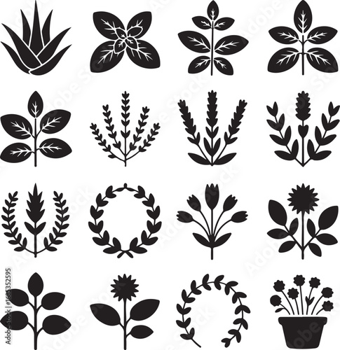 Collection of Black Botanical Silhouettes on White Background Keywords: plant, leaf, leaves