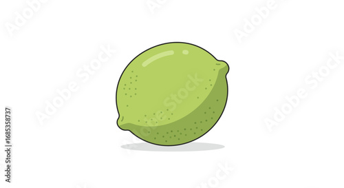 A single lime with a slightly textured green peel sits in the center of a white background