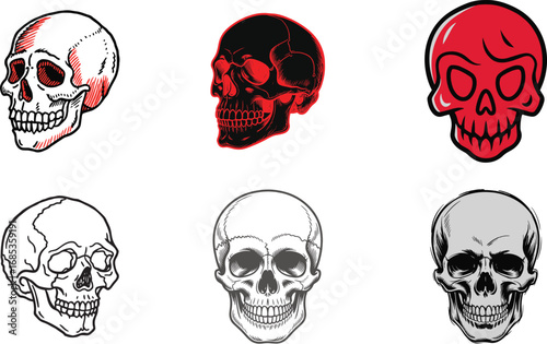 A Collection of Illustrative Skulls in Various Styles