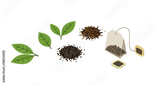 Isometric tea elements: leaves, loose tea, and teabag composition