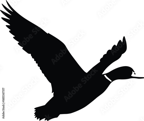 Flying duck silhouette vector, mallard bird in flight, wild waterfowl icon, black isolated duck illustration on white background design