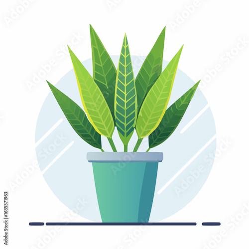 Vibrant Green Plant In Teal Pot
