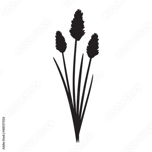 Elegant Plantain Silhouette on White Background Minimalist Botanical Illustration Plant Illustration Vector Graphic Design Element Isolated Plantain Artwork Decorative Floral Element