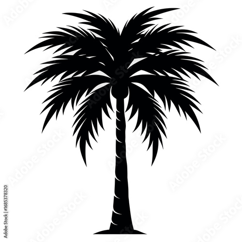 a-stark--graphic-silhouette-of-a-mature-palm-tree- silhouette vector design .eps