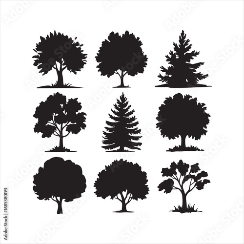 Various tree vectors. Forest and nature concept. Collection of different tree symbols. Education and training poster design. Vector drawn for plant and tree presentation.