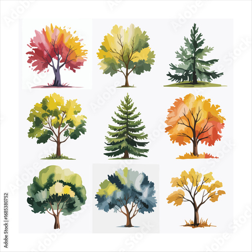 Various tree vectors. Forest and nature concept. Collection of different tree symbols. Education and training poster design. Vector drawn for plant and tree presentation.