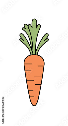 Freshly picked cartoon carrot illustration perfect for healthy eating, food concepts, and spring designs