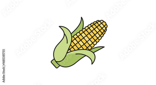 Fresh sweetcorn on the cob illustration for summer harvest recipes and healthy eating promotions, farm fresh produce graphic