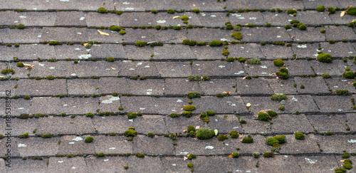 Φωτογραφία dirty house roof shingle as design background