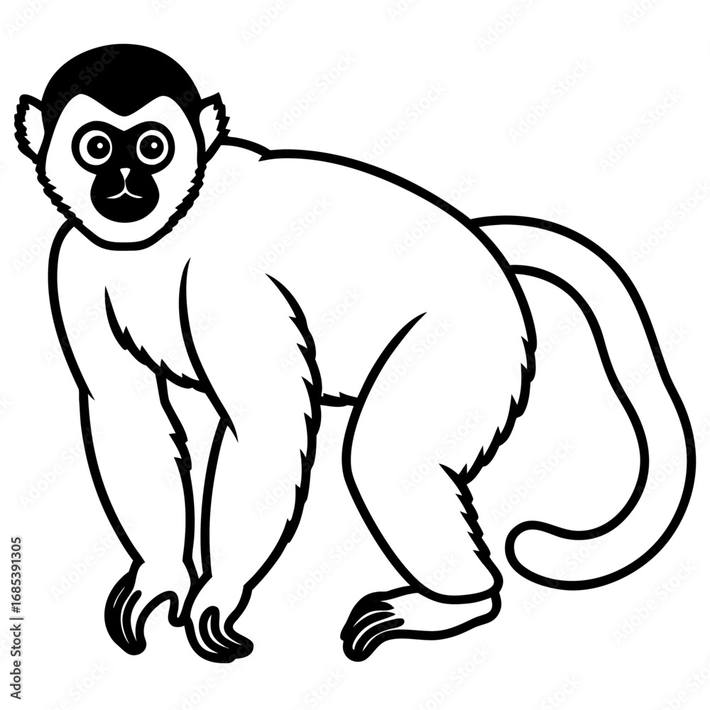 Obraz premium Silvery gibbon line art vector