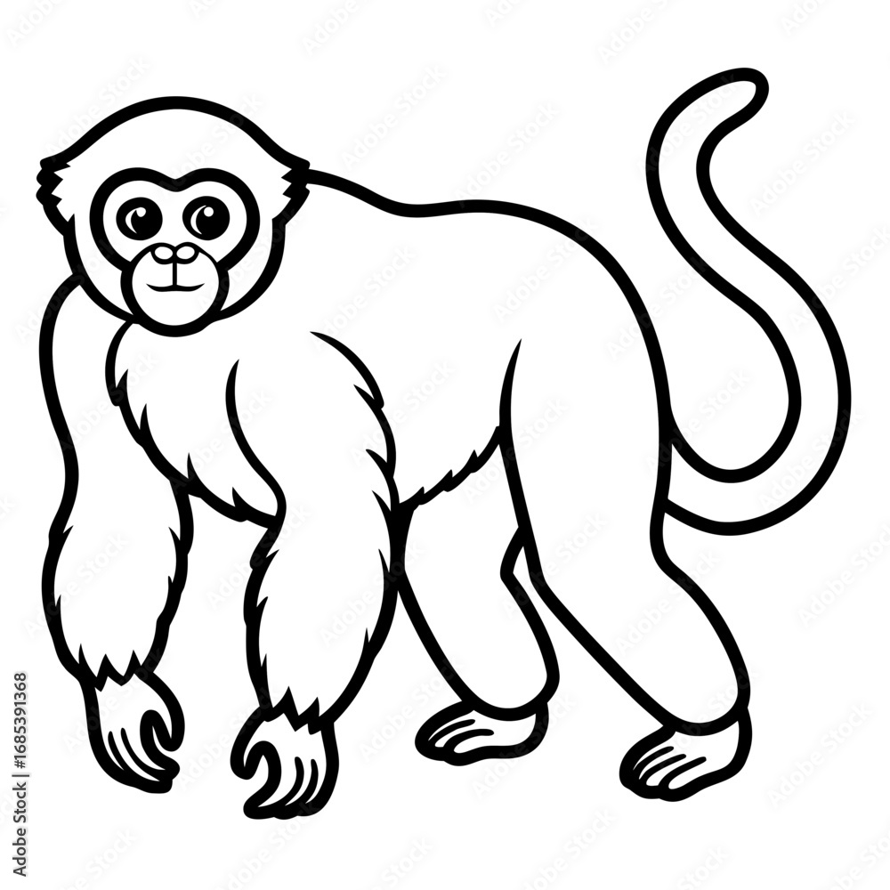 Obraz premium Silvery gibbon line art vector