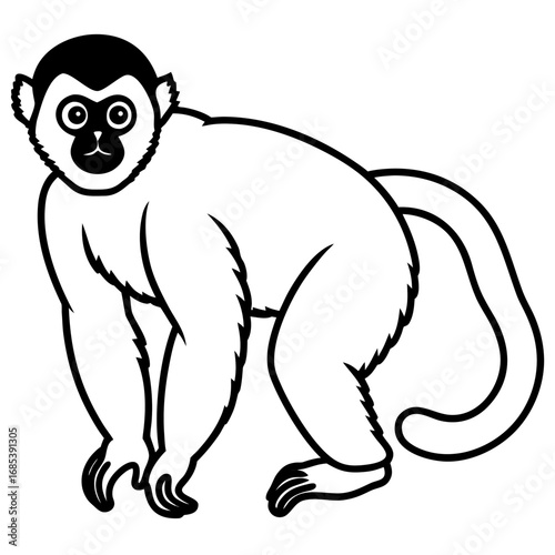 Silvery gibbon line art vector