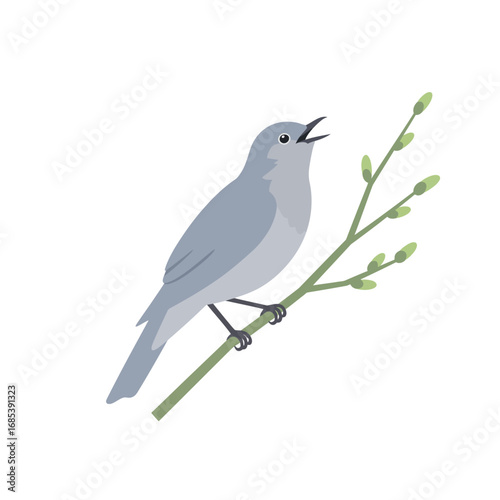 A delicate pale gray songbird perched on a thin branch with new spring buds singing its melody