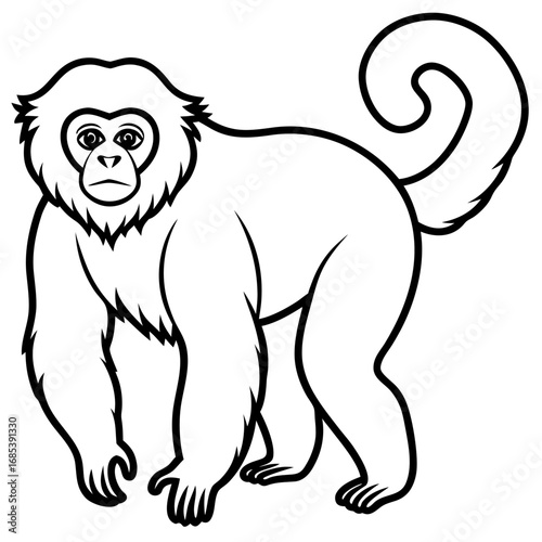 Silvery gibbon line art vector
