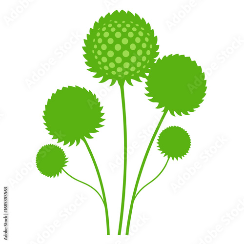 scabiosa pods green filler silhouette vector on white background