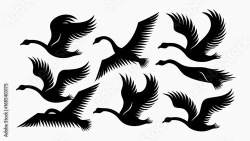 Silhouette illustration of a flock of swans in flight with wings spread against a white background image