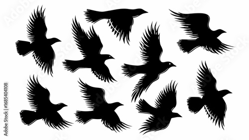 Silhouette illustration of ten birds in flight with varied wing positions against a white background