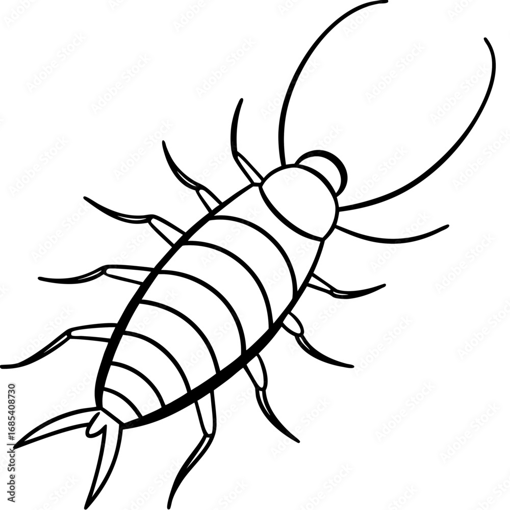 Obraz premium Silverfish line art vector
