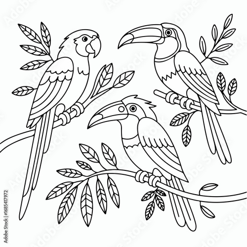 vector illustration of a bird