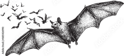 Bat drawing for Halloween. You can use this vector illustration in any size for your advertising, logos, and other works.