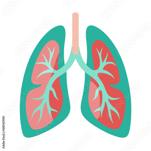 Stylized Lungs Illustration