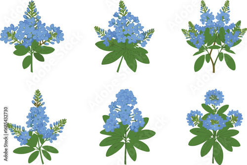 Bluebonnet wildflowers, Texas state flower, blooming blue petals, green leaves, spring floral design, botanical nature art, pollinator bee detail, flat vector illustration