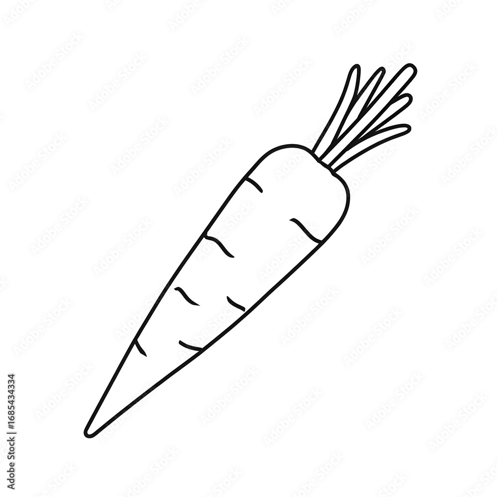 Fototapeta premium Hand-drawn illustration of a carrot, showcasing its unique shape and texture, perfect for food-related designs or recipes.