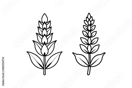 A black line drawing of two wheat or grain stalks with leaves on white background silhouette