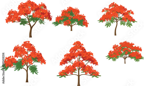 Red orange tree, autumn foliage, deciduous plant, botanical art, green leaves, seasonal design, nature beauty, decorative landscape, fall season, flat vector illustration