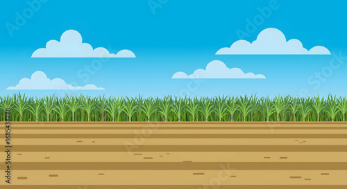 Empty farmland