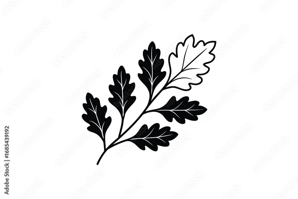 Fototapeta premium a black and white illustration of an oak leaf branch with multiple leaves silhouette