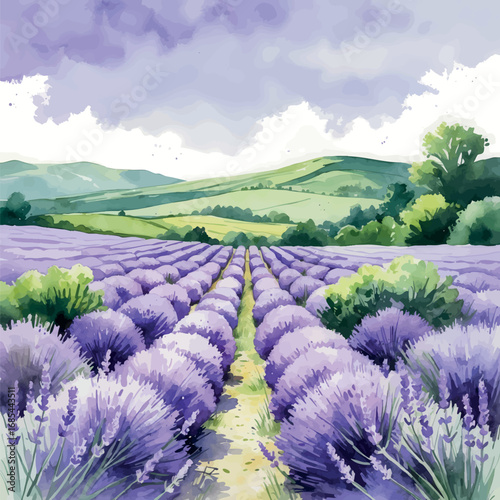Lavender Field Watercolor Illustration. Light Purple and Green Tones with Loose Brushwork Creating a Soothing Countryside Landscape.