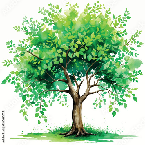 Watercolor tree regrowing leaves after storm, metaphor for recovery and healing