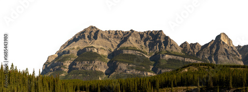 Panorama of large rocky mountain with forest in the foreground and a transparent sky
