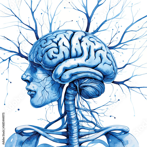 Watercolor human nervous system illustration. Brain and neural network medical art in delicate blue tones isolated on white background.