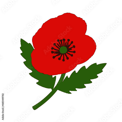 Vector art of a vibrant red poppy flower with green leaves, isolated on a transparent background, symbolizing remembrance and peace