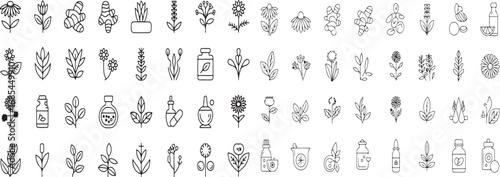 Medicinal Herbs Line Icons – 40 Natural Health Vector Pictograms