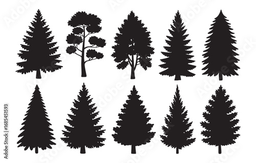 Collection of silhouetted evergreen trees pine fir spruce conifers for natural landscape design elements white background