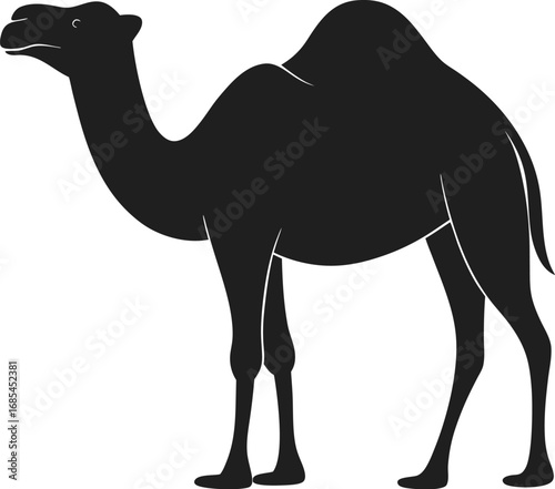 A silhouette of a camel, ideal for various design projects. The animal is standing still with a curved neck. Its form is black